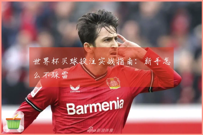 世界杯买球投注实战指南：新手怎么不踩雷