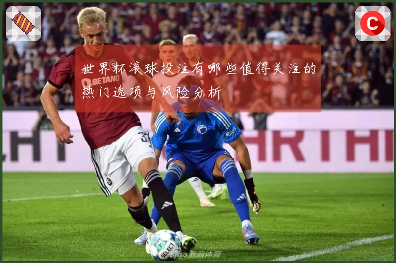 世界杯滚球投注有哪些值得关注的热门选项与风险分析