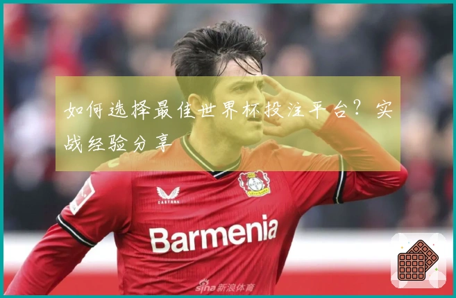 如何选择最佳世界杯投注平台？实战经验分享