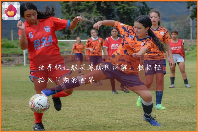 世界杯让球买球规则详解，教你轻松入门购彩世界