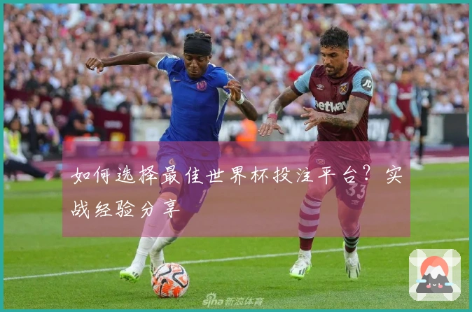 如何选择最佳世界杯投注平台？实战经验分享
