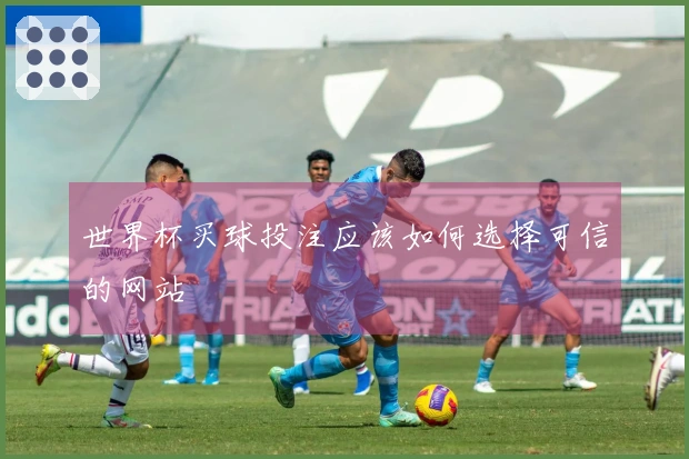 世界杯买球投注应该如何选择可信的网站