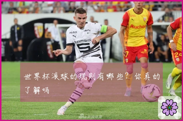 世界杯滚球的规则有哪些？你真的了解吗