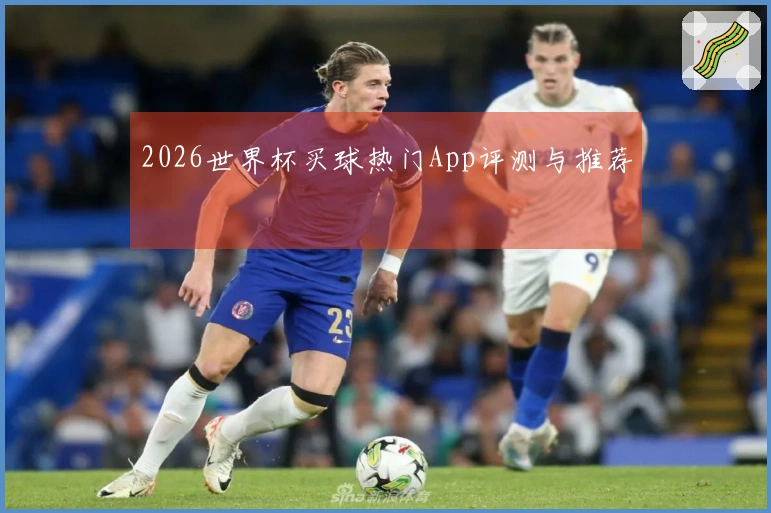 2026世界杯买球热门App评测与推荐
