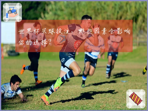 世界杯买球投注，哪些因素会影响你的选择？