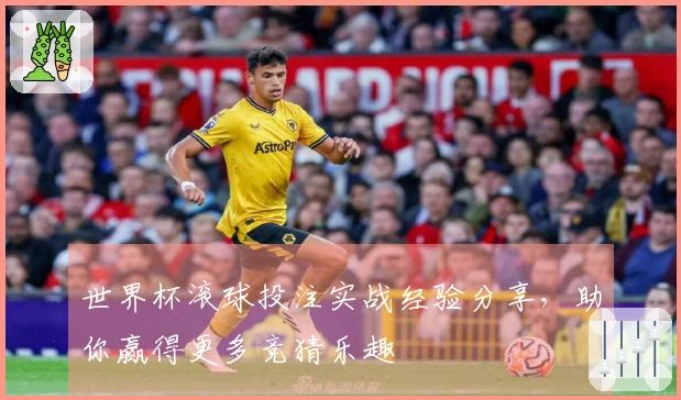 世界杯滚球投注实战经验分享，助你赢得更多竞猜乐趣
