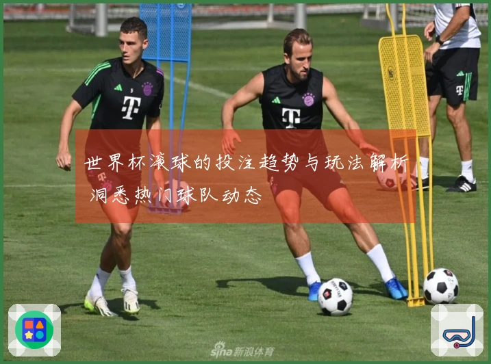 世界杯滚球的投注趋势与玩法解析 洞悉热门球队动态