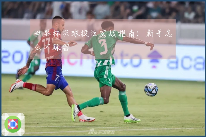世界杯买球投注实战指南：新手怎么不踩雷